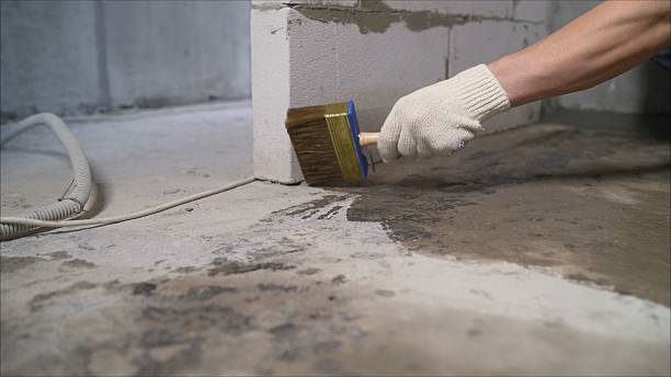 Top rated local Wet Basement Repair specialists in Cosby, TN